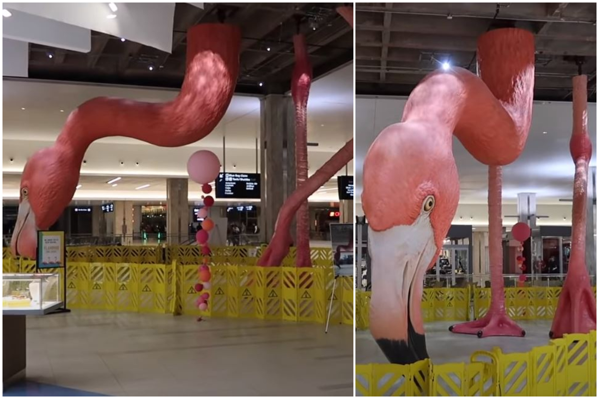 Γιγαντιαίο φλαμίνγκο καλωσορίζει τους ταξιδιώτες στο Tampa International Airport