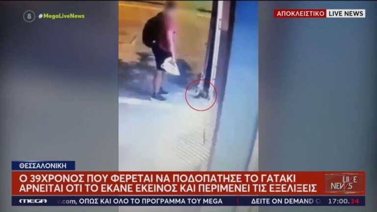 Θεσσαλονίκη: Ταυτοποιήθηκε ο άνδρας που σκότωσε το γατάκι – «Δεν το έκανα εγώ» υποστηρίζει στο Live News