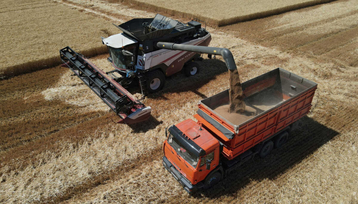 FILE PHOTO: A combine loads a truck with wheat during harvesting in a field in the Rostov Region, Russia July 7, 2022. REUTERS