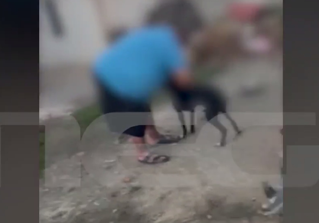 Βασανισμός σκύλου στην Κρήτη: «Θύμα πλεκτάνης ο πατέρας μου» λέει η κόρη του 67χρονου