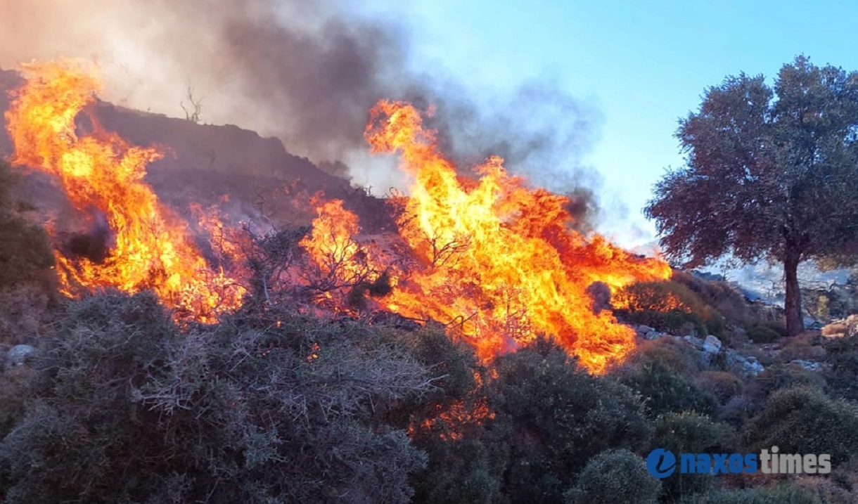 Φωτιά στη Νάξο – Επιχειρούν επίγειες και εναέριες δυνάμεις