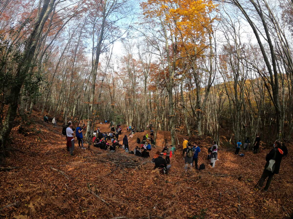 DCIM100GOPROGOPR1131.JPG