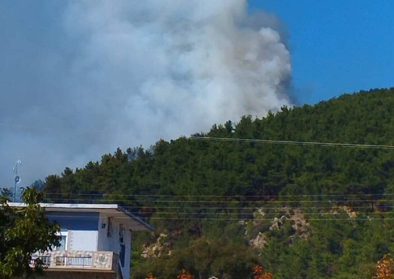 Φωτιά στη Ροδόπη στην περιοχή Μίσχος – Επιχειρούν επίγειες και εναέριες δυνάμεις
