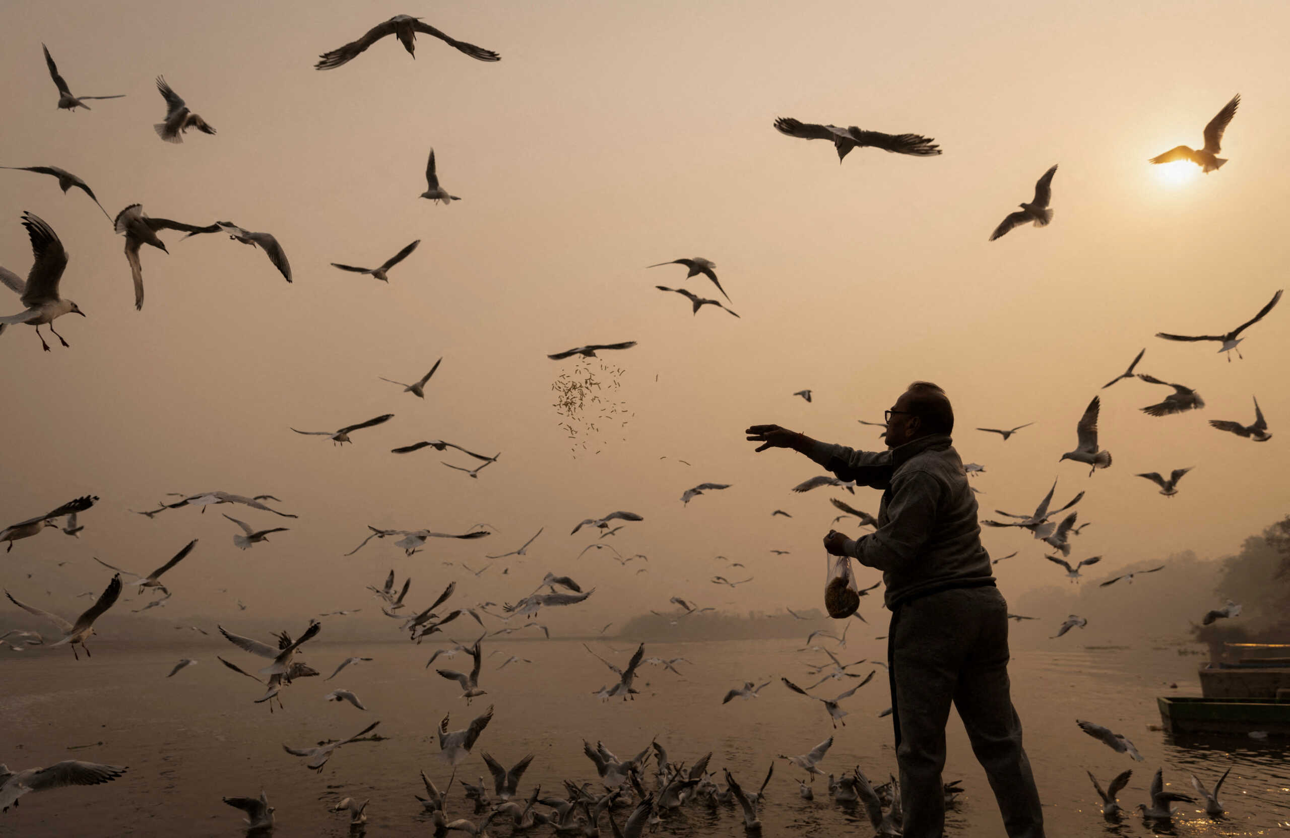 A man feeds birds amidst heavy smog on the banks of Yamuna river in the old quarters of Delhi, India, November 4, 2022. REUTERS