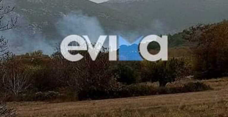 Φωτιά στην Εύβοια κοντά στο Αλιβέρι – Στις φλόγες καρυδιές και πλατάνια