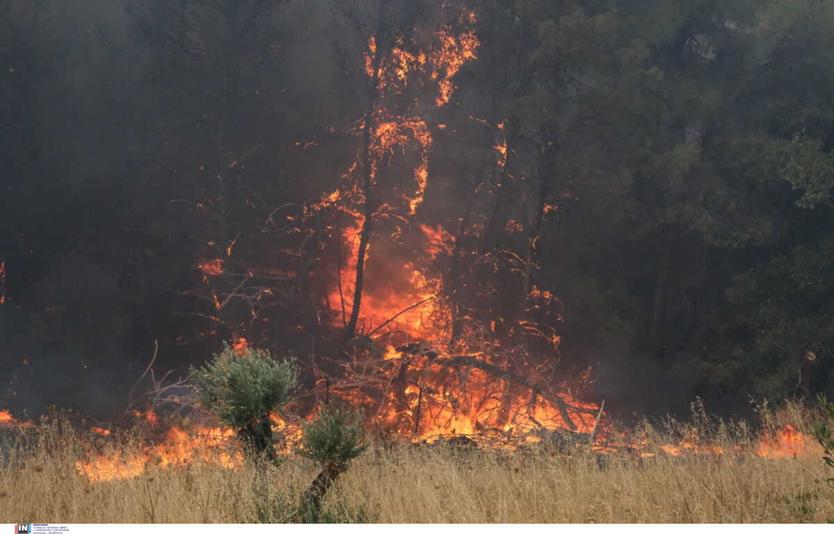 Χαλκίδα: Πρoσήχθη 48χρονος για τη φωτιά στο Δοκό