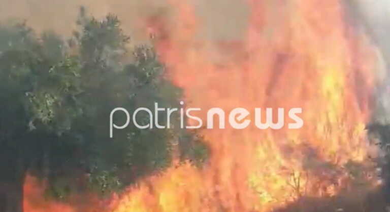 Δυνατή βροχή «σβήνει» τη μεγάλη φωτιά στην Ηλεία - «Μας έσωσε η κακοκαιρία EVA»