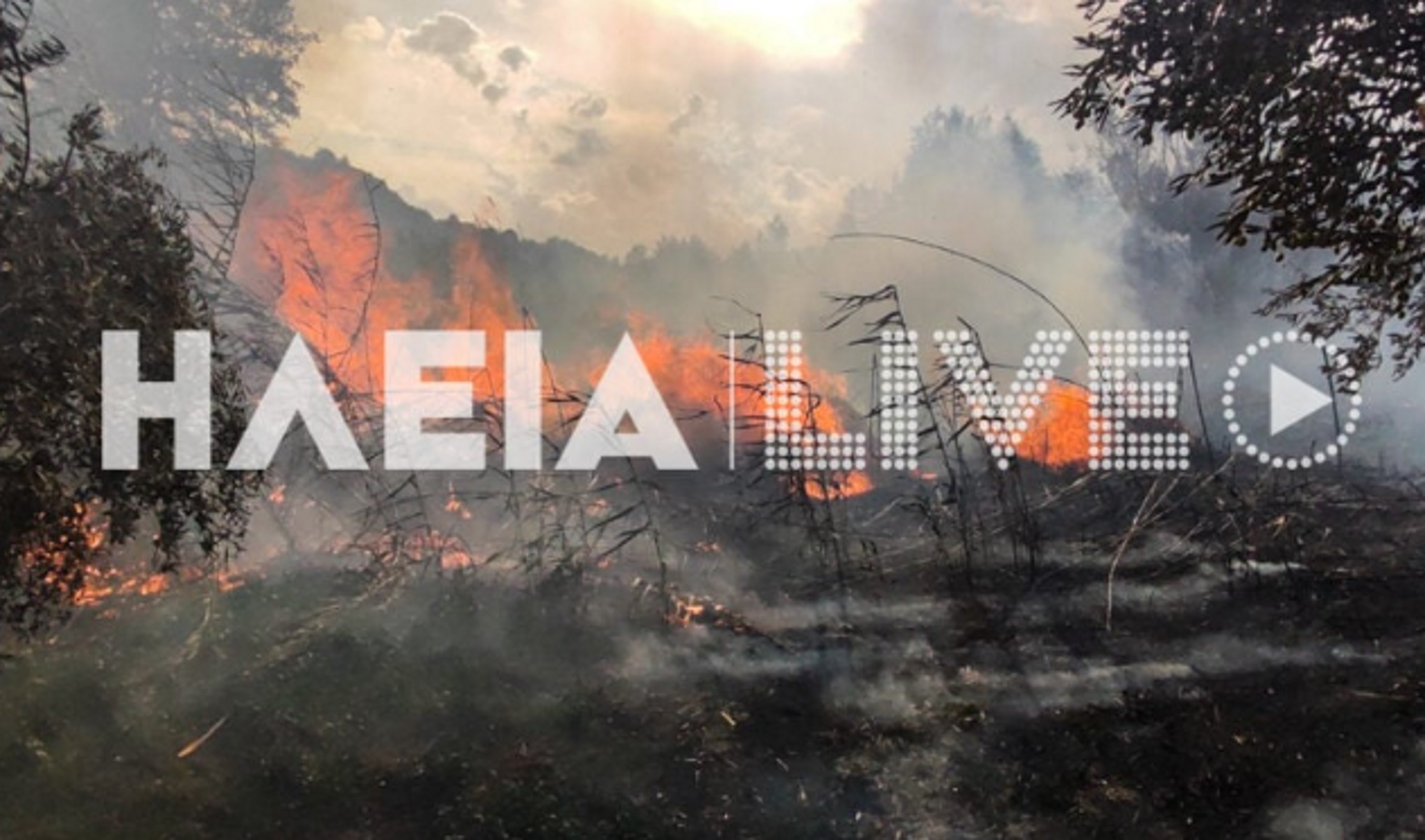 Φωτιά στην Ηλεία κοντά στο χωριό Λαμπέτι – Ενισχύονται οι δυνάμεις της πυροσβεστικής