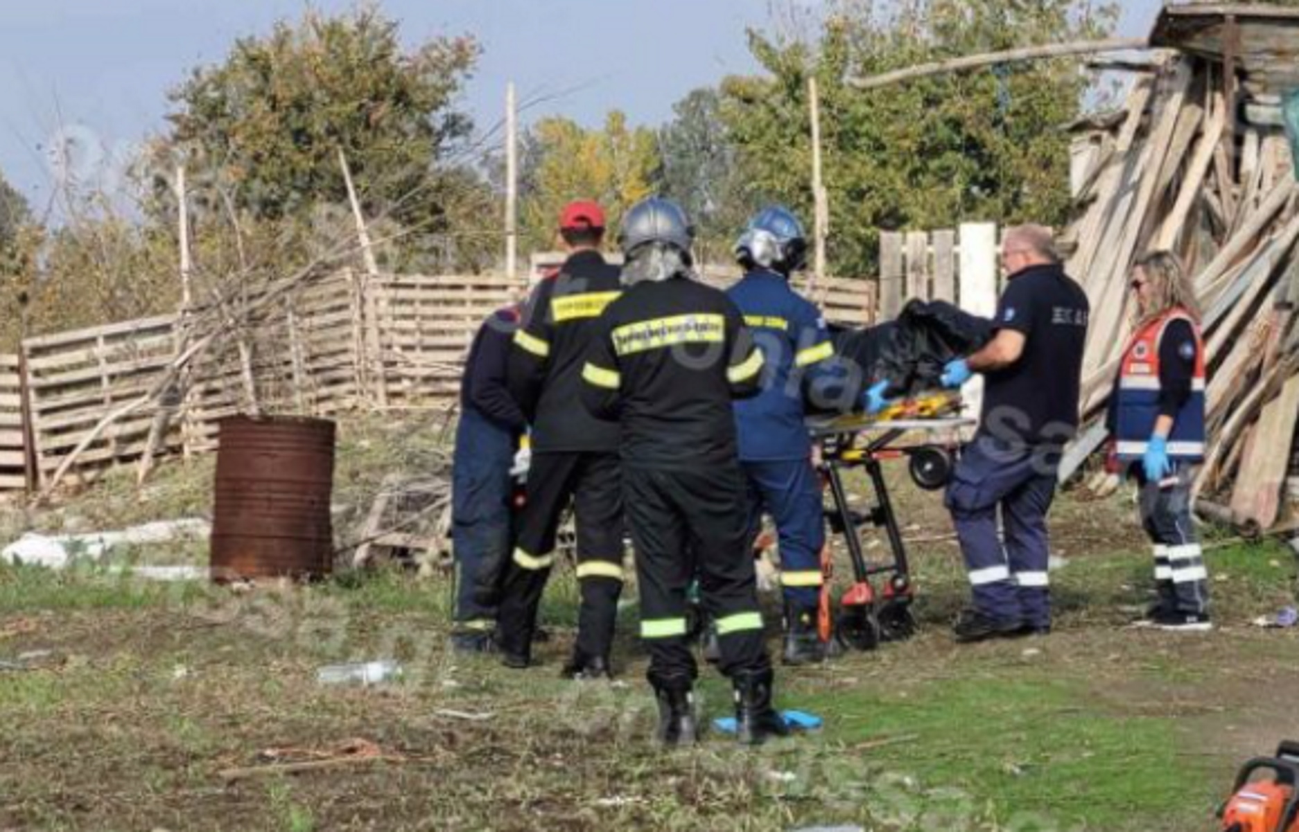 Τραγωδία στη Λάρισα: Δέντρο καταπλάκωσε και σκότωσε γυναίκα – Είχε πει σε γείτονα να το κόψει