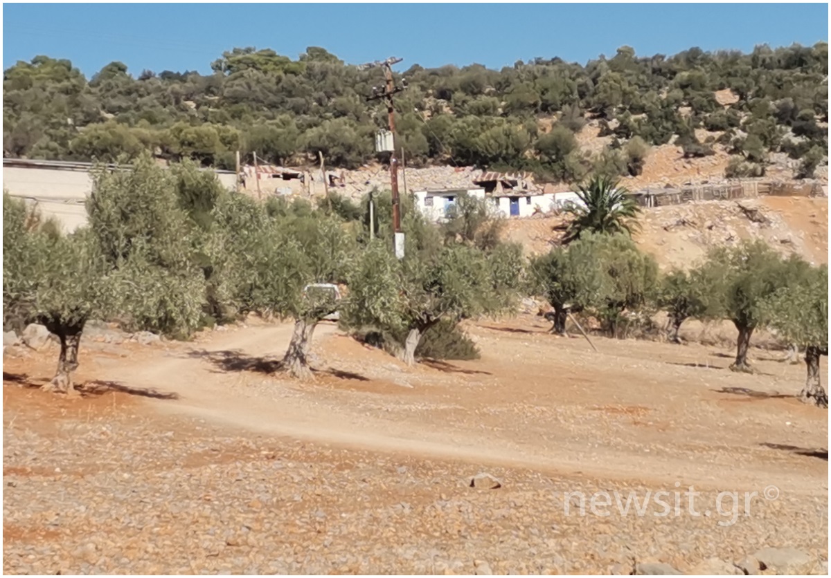 Μάνδρα: «Πήγε να τρομάξει το γουρούνι και το όπλο πυροβόλησε μόνο του» λέει ο 14χρονος