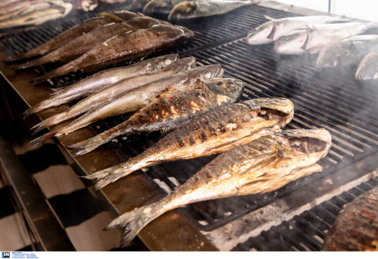 «Είναι βασανισμός...» - Σάλος για τα ψάρια που τα τηγάνιζαν ζωντανά σε καυτό λάδι στην Κάρπαθο