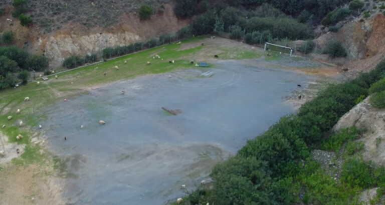 Πρόβατα - γήπεδο 1-0: Έφαγαν το γρασίδι αγωνιστικού χώρου στην Κρήτη