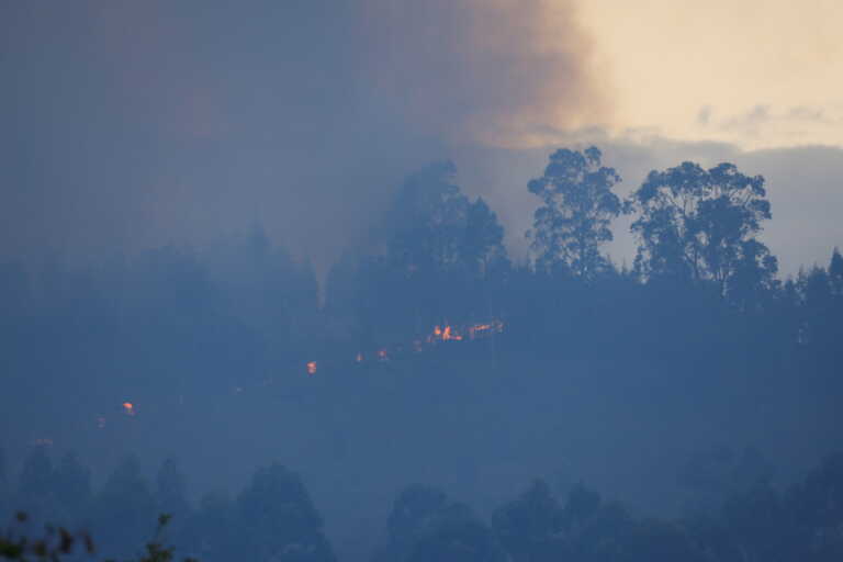 Φωτιά στο Παπίκιο Όρος στα σύνορα με τη Βουλγαρία – 15.000 στρέμματα έγιναν στάχτη στις δύο χώρες