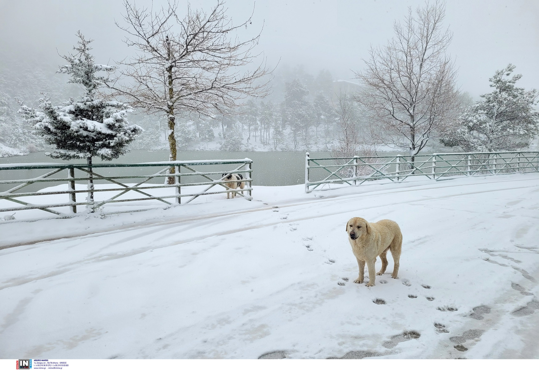 Καιρός – Σάκης Αρναούτογλου: Έρχονται χιόνια με μεγάλη βουτιά της θερμοκρασίας, στα λευκά τα χιονοδρομικά κέντρα