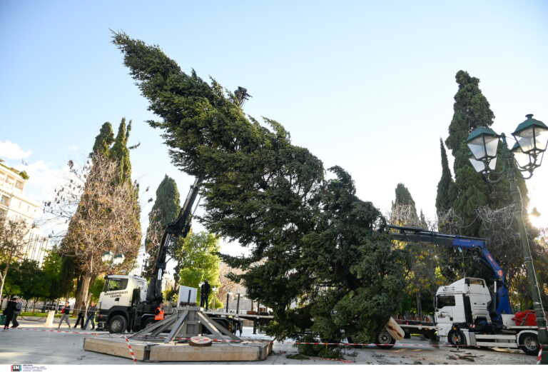 Στην πλατεία Συντάγματος το χριστουγεννιάτικο δέντρο – Έλατο 21 μέτρων από το Καρπενήσι