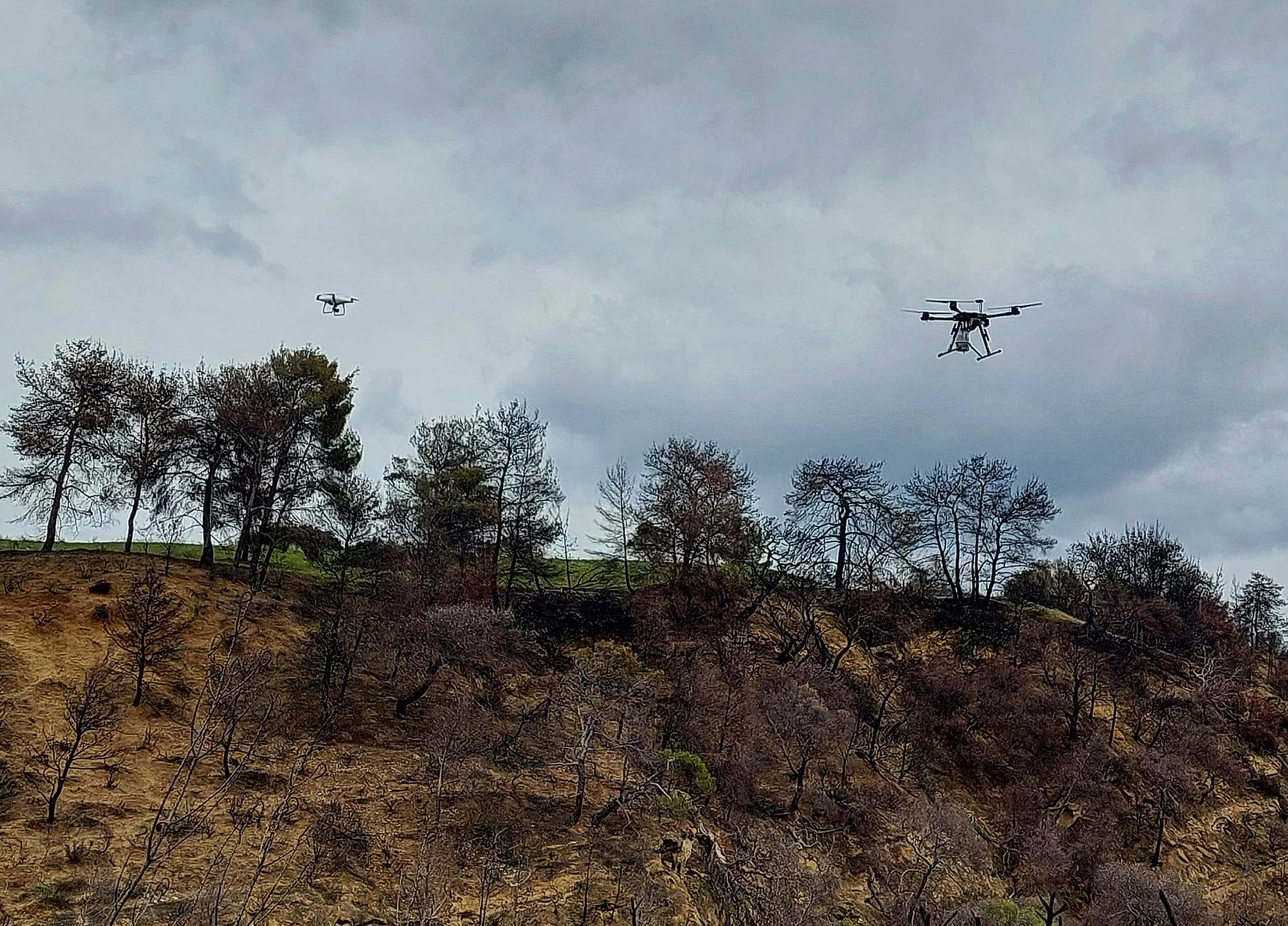 Αναδάσωση με drones για πρώτη φορά στην Ελλάδα
