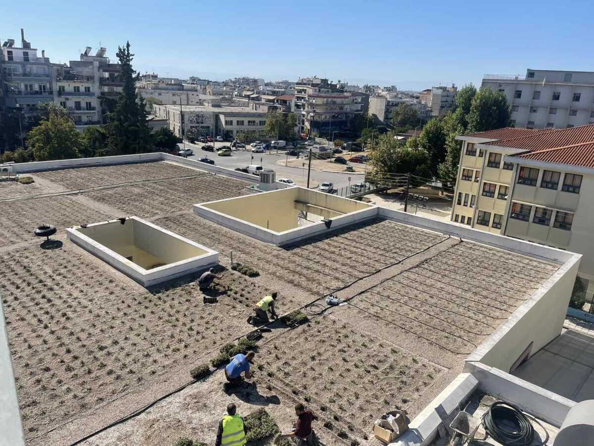 ΕΠΑΛ Σταυρούπολης: Εικόνες από το έργο που αλλάζει μορφή στο σχολείο – Εντυπωσιάζει ο κάθετος κήπος
