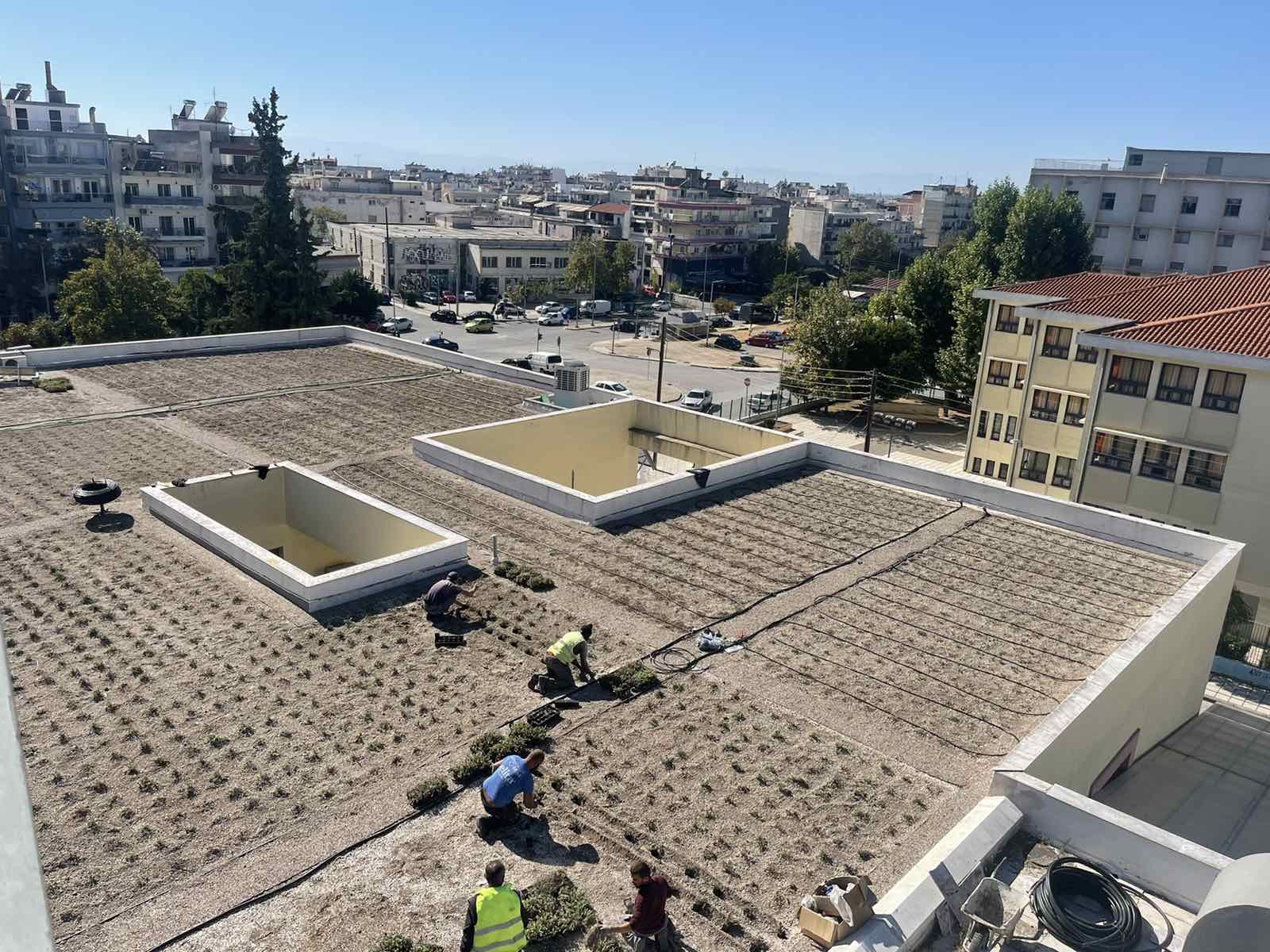 ΕΠΑΛ Σταυρούπολης: Εικόνες από το έργο που αλλάζει μορφή στο σχολείο – Εντυπωσιάζει ο κάθετος κήπος