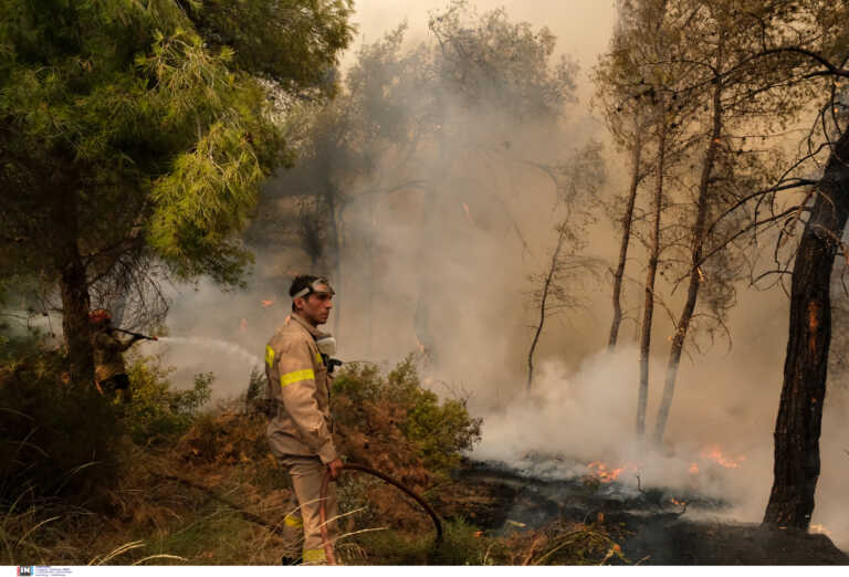 Πολλές φωτιές αλλά λιγότερες καμένες εκτάσεις φέτος το καλοκαίρι - Πως ο καιρός ευνόησε την κατάσβεσή τους