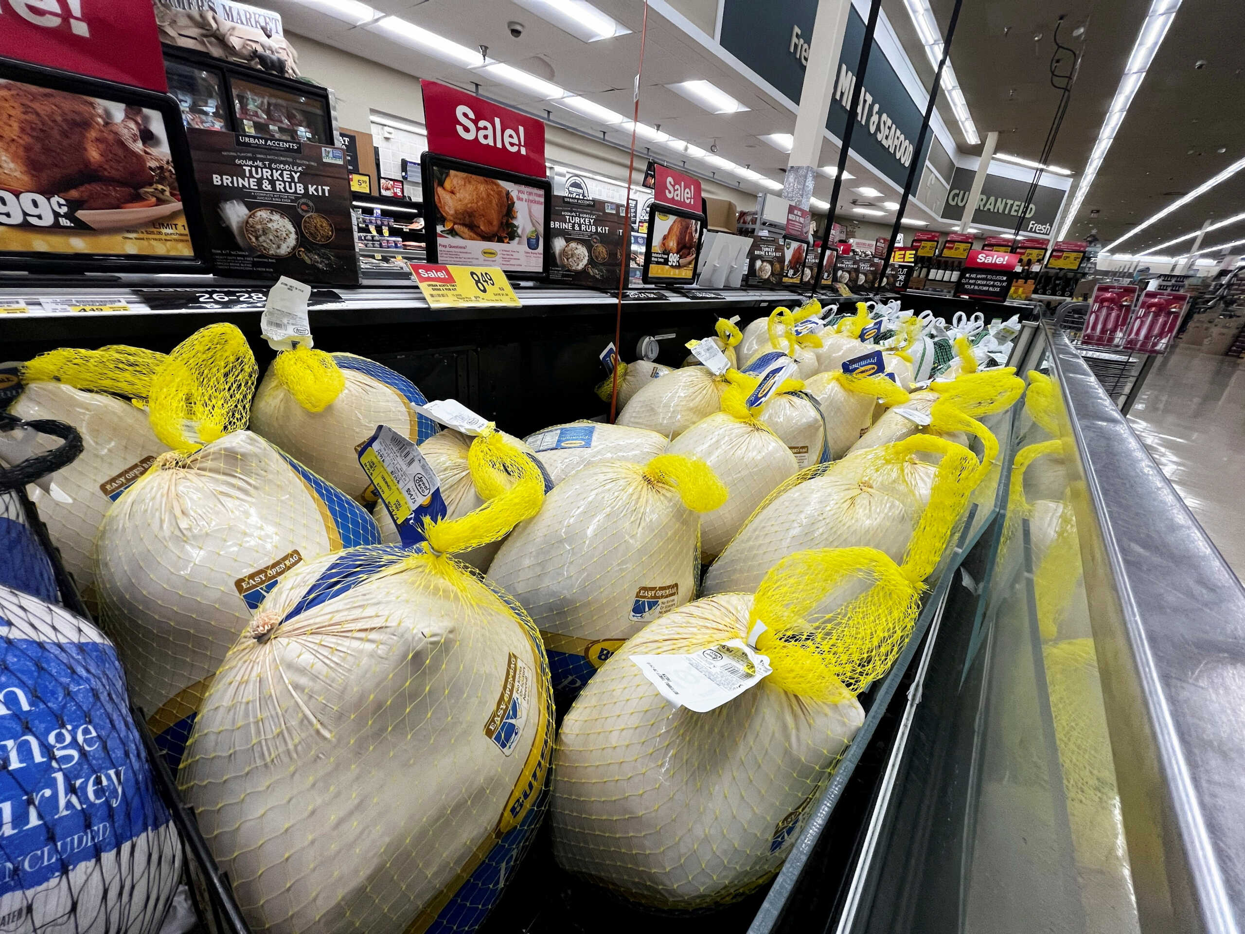 galopoules turkeys thanksgiving r
