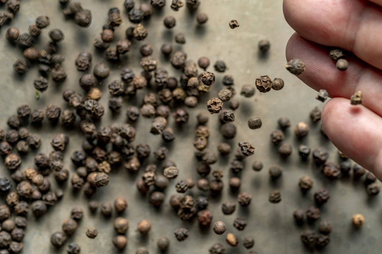 Black Peppercorn flying
