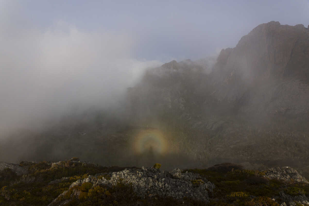 Brocken spectre