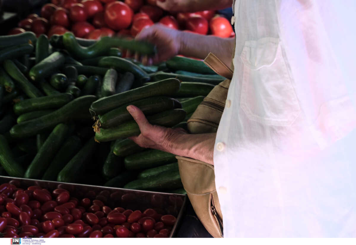 ***** ÐÑÏÓÏ×Ç - ÓÇÌÅÉÙÓÇ ÃÉÁ ÔÏÍ ÁÑ×ÉÓÕÍÔÁÊÔÇ ****
**  Ç öùôïãñáößá Ý÷åé ëçöèåß ÷ùñßò ôç ñçôÞ Üäåéá ôùí åéêïíéæüìåíùí. Ç äçìïóßåõóç 
ôùí ÷áñáêôçñéóôéêþí ôïõò ãßíåôáé áðïêëåéóôéêÜ ìå åõèýíç ôïõ ÷ñÞóôç **