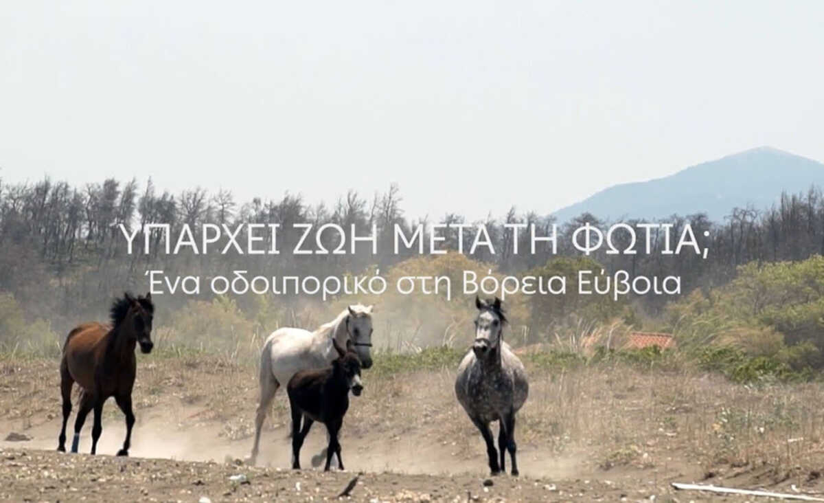 H ζωή μετά τη φωτιά στη Βόρεια Εύβοια: Ένα οδοιπορικό με την υποστήριξη της ΔΕΗ