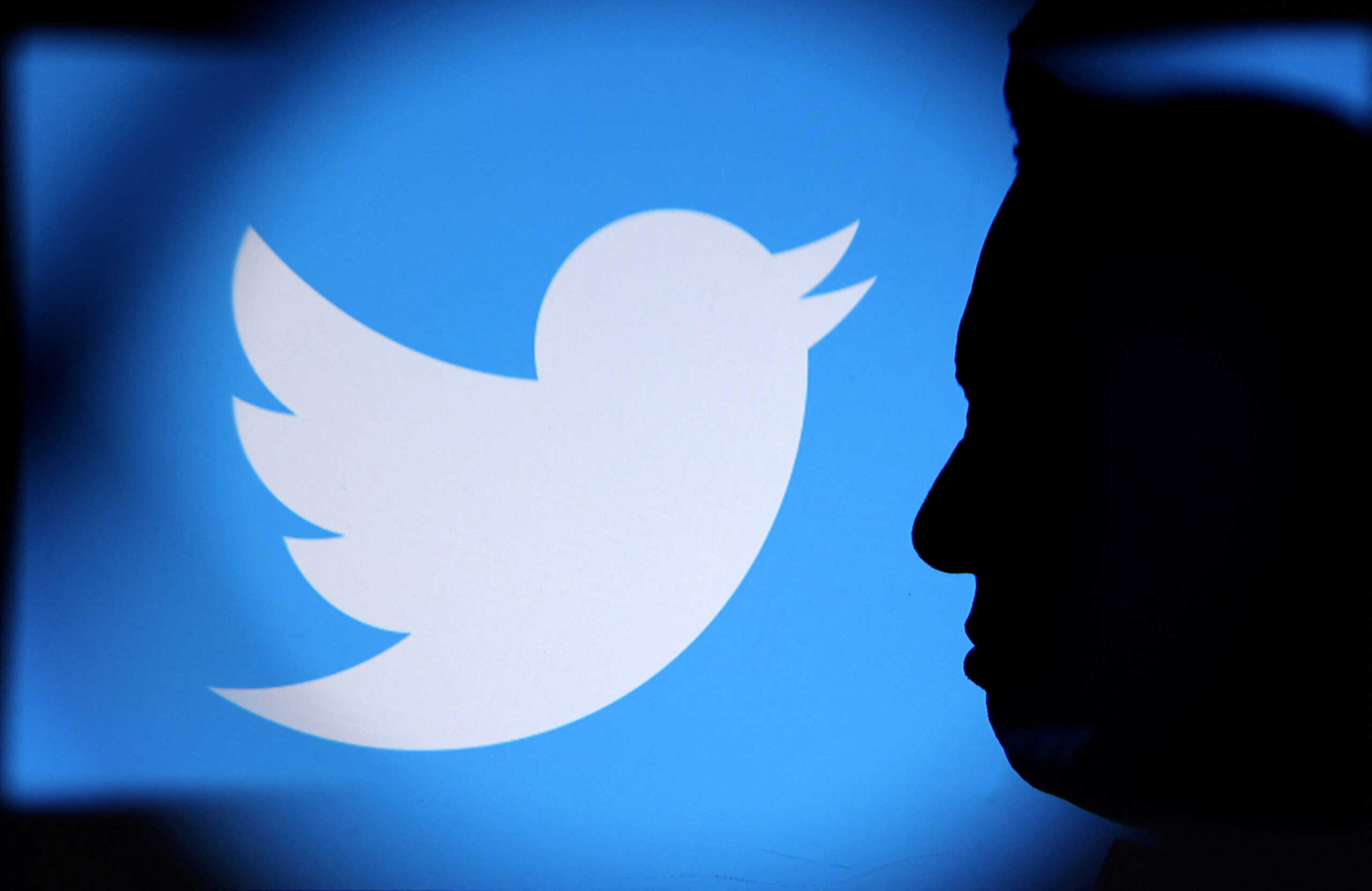 FILE PHOTO: Elon Musk photo and Twitter logo are seen through magnifier in this illustration taken November 4, 2022. REUTERS