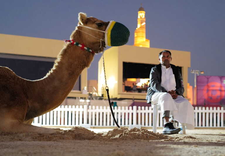 Ανησυχία για τη «νόσο της καμήλας» στη Βρετανία λόγω Μουντιάλ - Τι είπε η Ματίνα Παγώνη