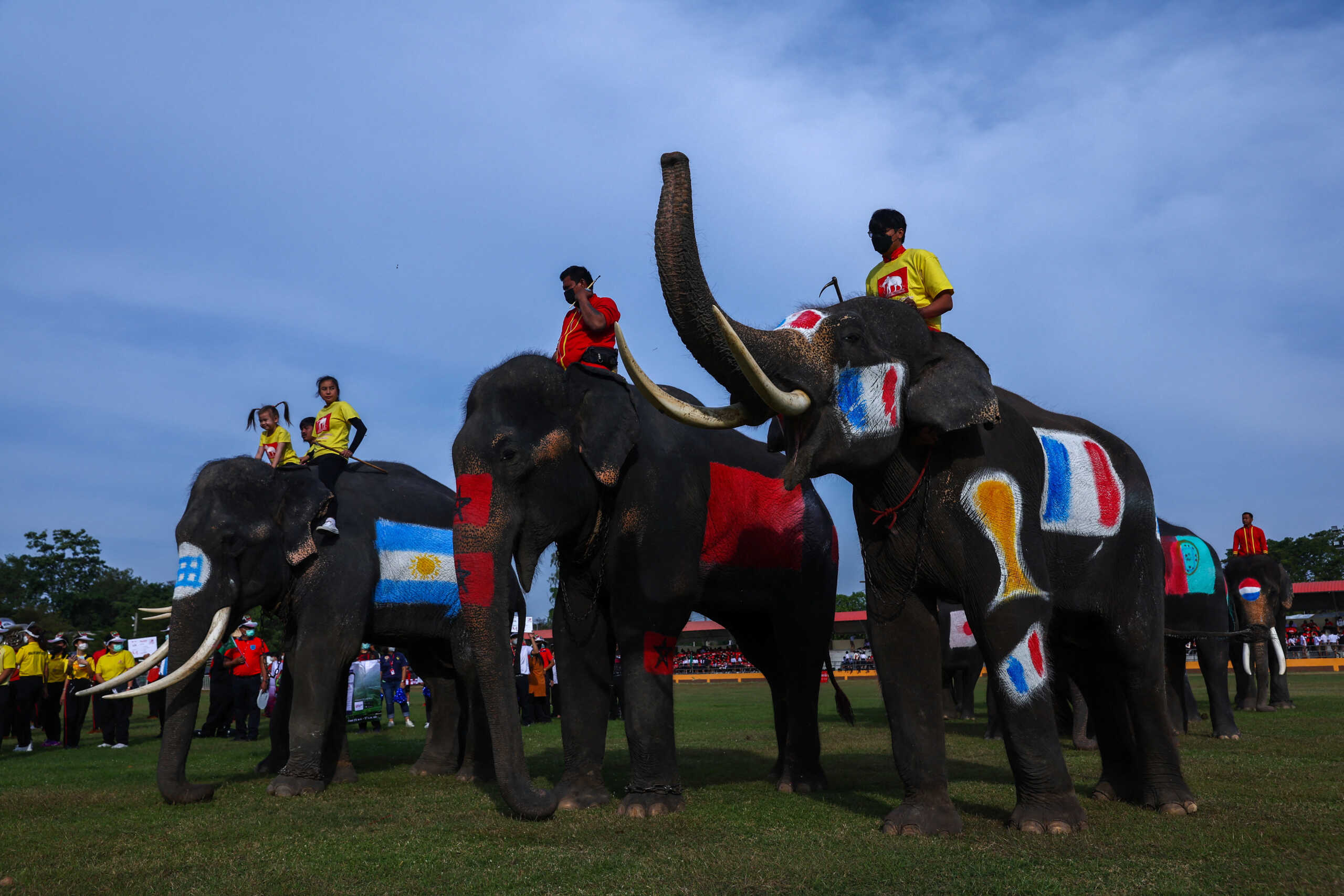 Elephants with France, Morocco and Argentina’s national flags painted on them, stand before a soccer match with students in Ayutthaya province, Thailand, December 13, 2022. REUTERS