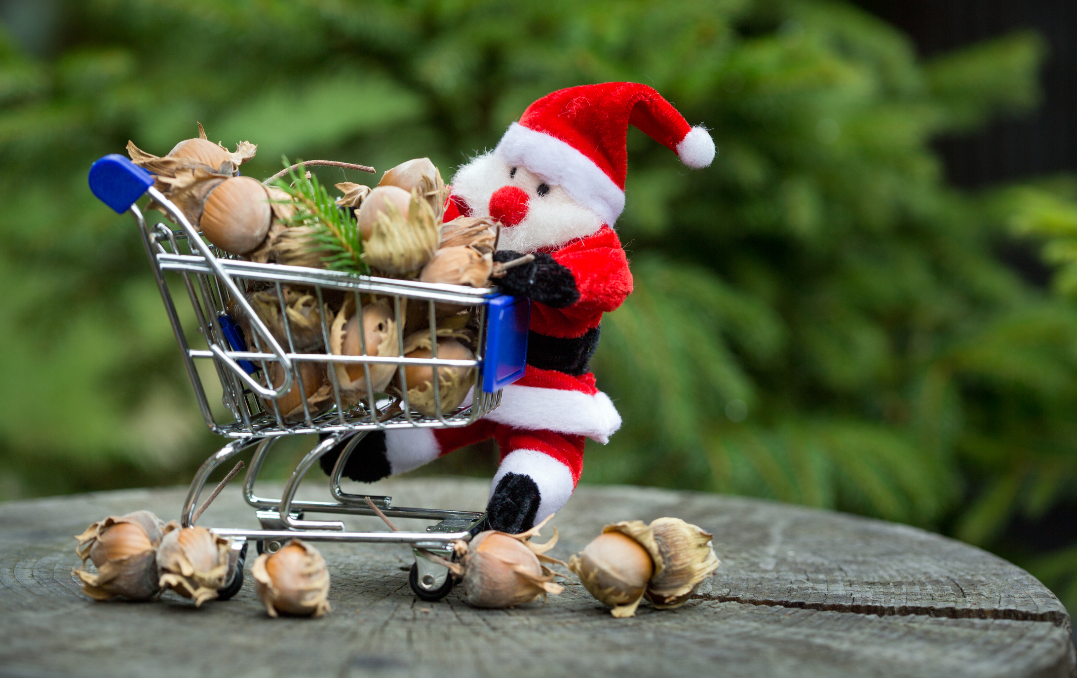 the cart from Santa Claus is full of hazelnuts
