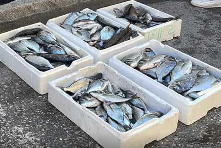Λευκάδα: Ληστεία για ψάρια αξίας 2.000 ευρώ - Οι πρώτες συλλήψεις για το χτύπημα σε ιχθυοκαλλιέργεια