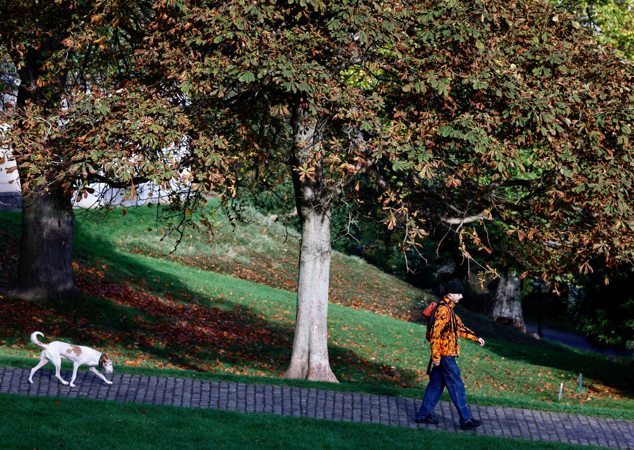 A man and his dog walk in a park on an autumn day in Brussels, Belgium, November 9, 2022  REUTERS