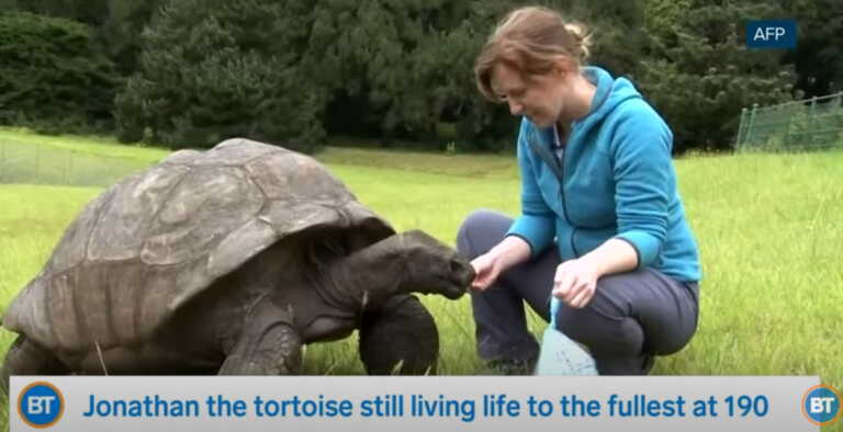 Πάρτι γενεθλίων για τη χελώνα Τζόναθαν που γίνεται 190 ετών