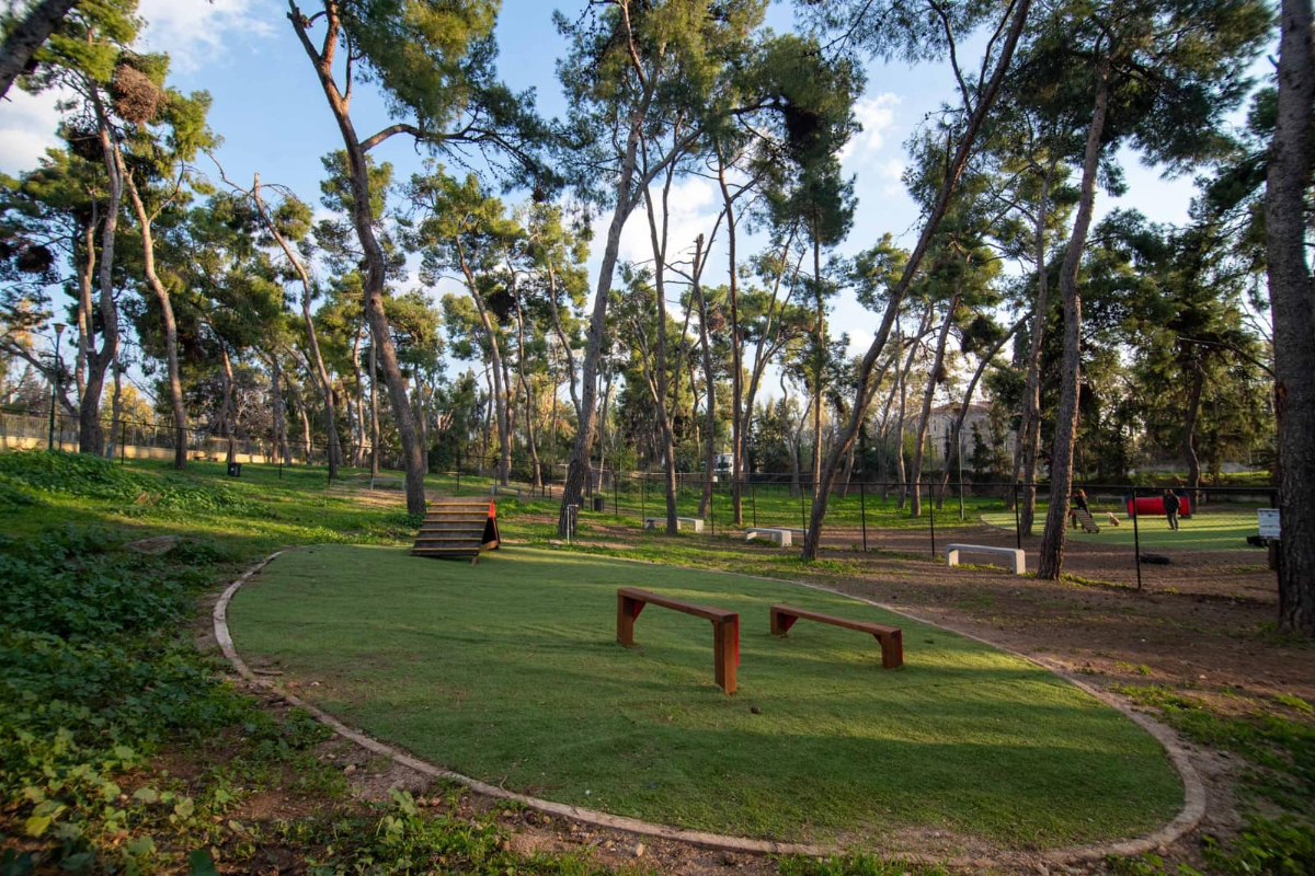 Δήμος Αθηναίων: Πέντε τα dog parks, νέοι χώροι στο Άλσος Χωροφυλακής και στον Λόφο Λαμπράκη