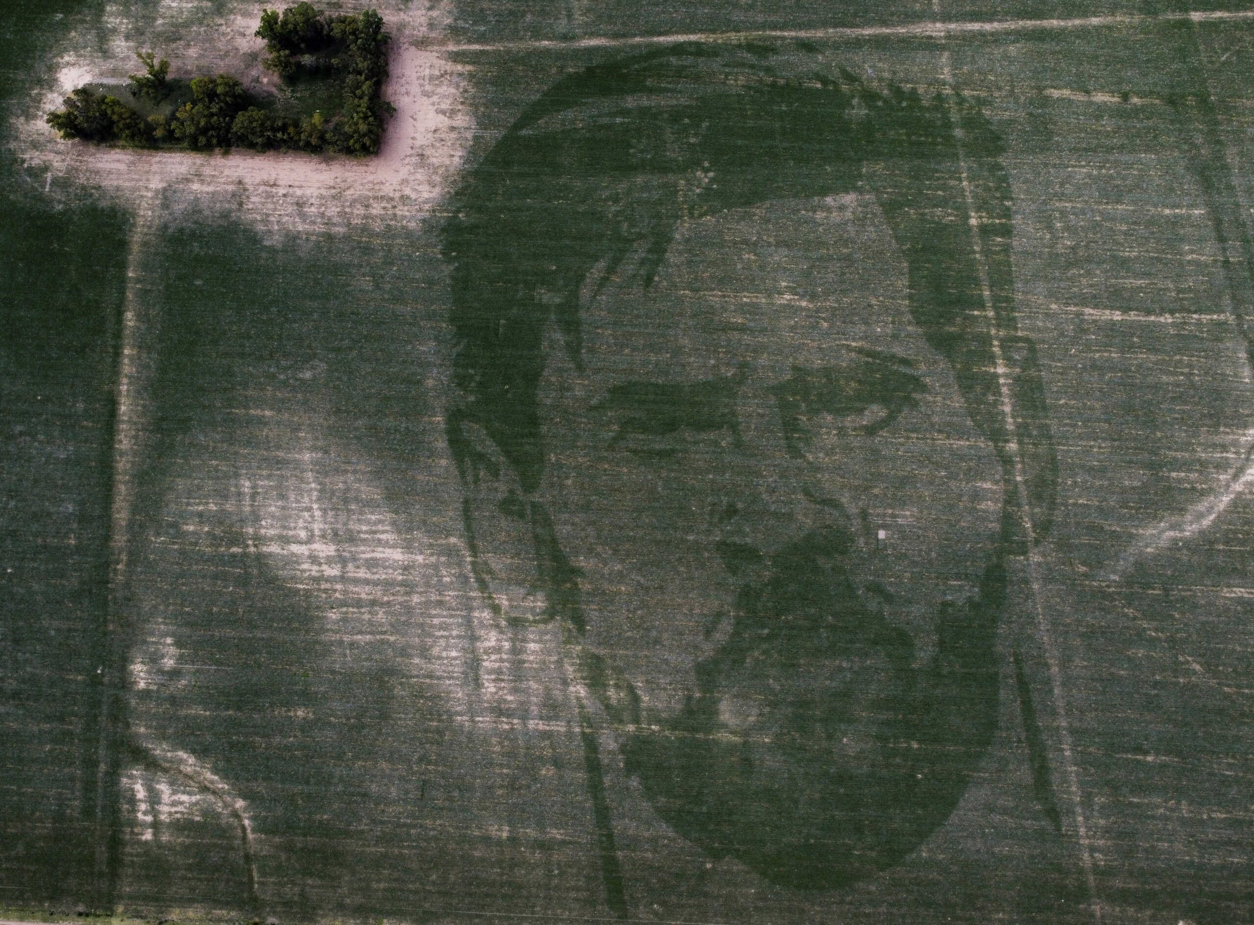 Λιονέλ Μέσι: Αγρότης σχημάτισε τη μορφή του Αργεντινού σε χωράφι με καλαμπόκι