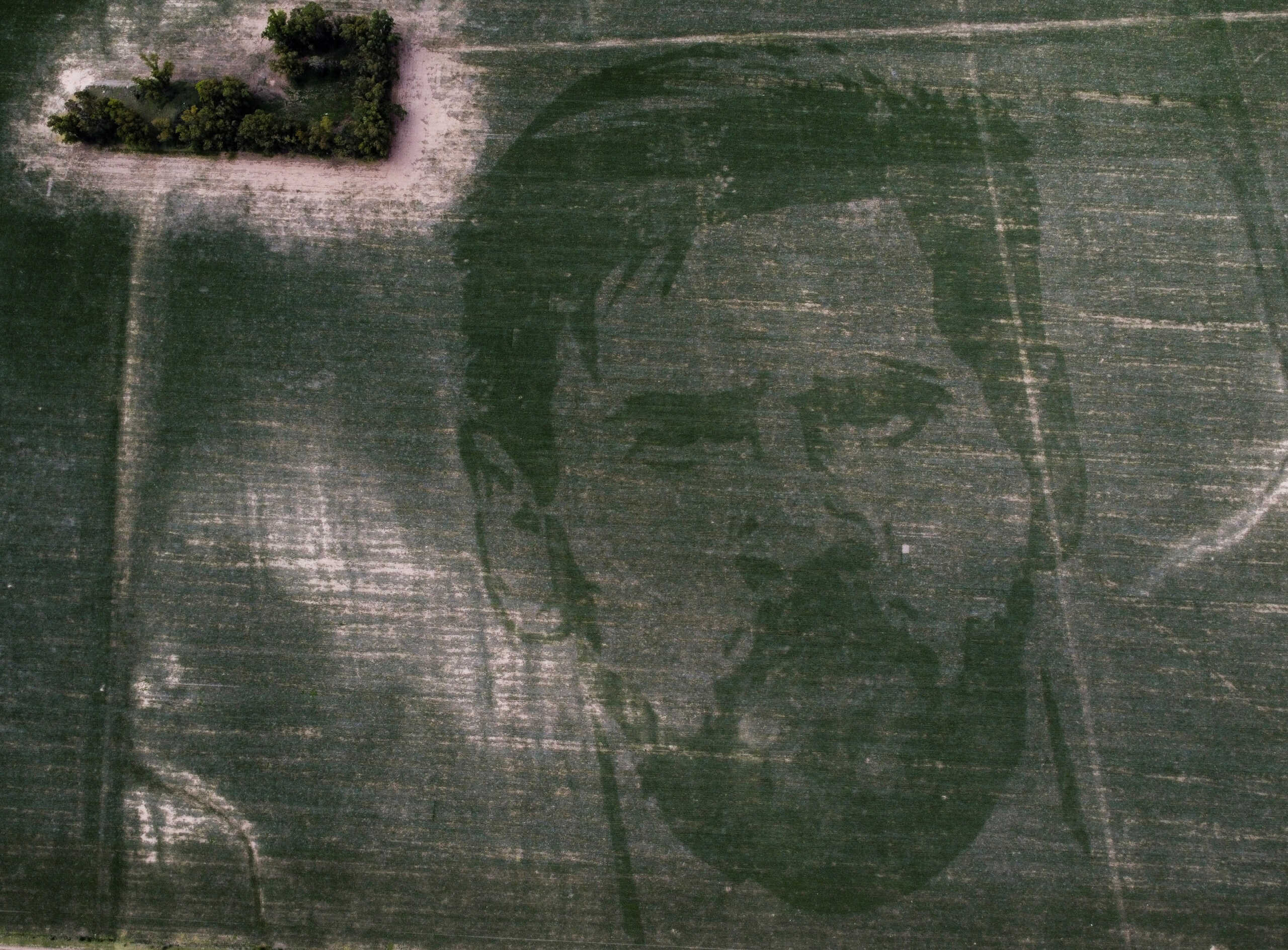 FILE PHOTO: The face of Argentine football star Lionel Messi is depicted in a corn field sown with a special algorithm to plant seeds in a certain pattern to create a huge visual image when the corn plants grow, in Los Condores, on the outskirts of Cordoba, Argentina January 15, 2023. REUTERS