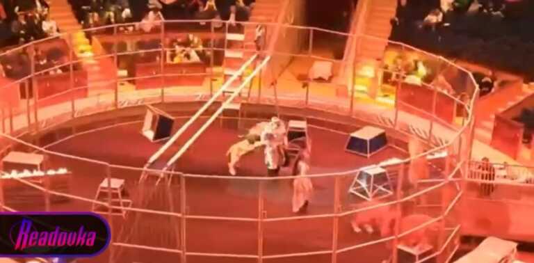 Ρωσία: Λιοντάρι δάγκωσε τον θηριοδαμαστή του σε τσίρκο - Βίντεο σοκ