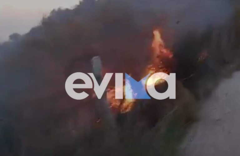 Φωτιά στην Εύβοια – Καίγεται δάσος στο Γαννίτσι Καρύστου