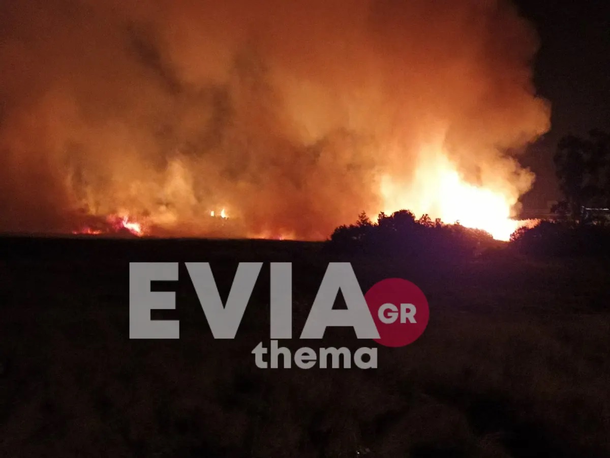 Φωτιά στην Εύβοια: Ώρες αγωνίας καθώς οι φλόγες προχωράνε ανεξέλεγκτες
