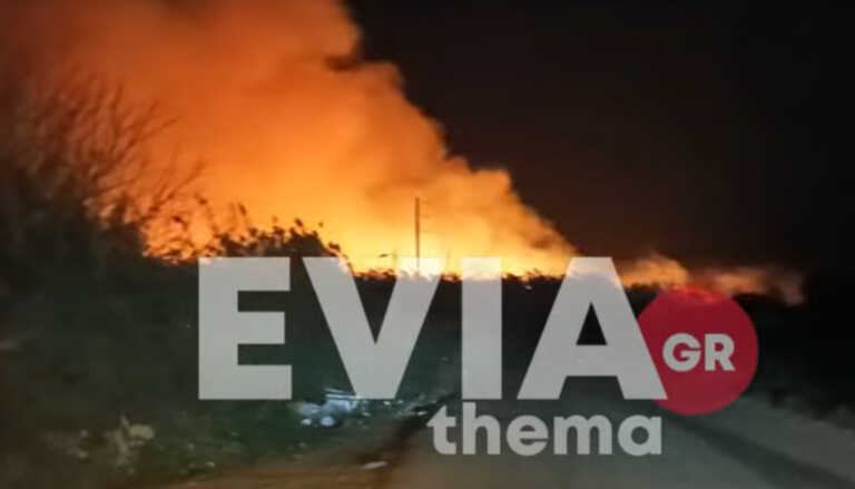 Συνεχίζει να καίει ανεξέλεγκτη η φωτιά στην Εύβοια - Φόβοι για μεγάλη περιβαλλοντική καταστροφή στον υδροβιότοπο Κολοβρέχτη