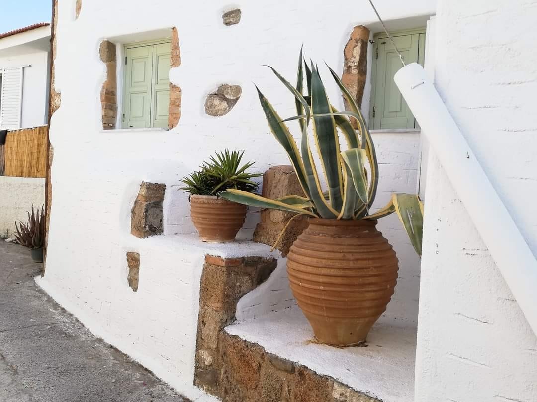 Κρήτη: Τα πιθάρια από το Θραψανό και η άγνωστη ιστορία τους – Μυστικά που περνούν από γενιά σε γενιά