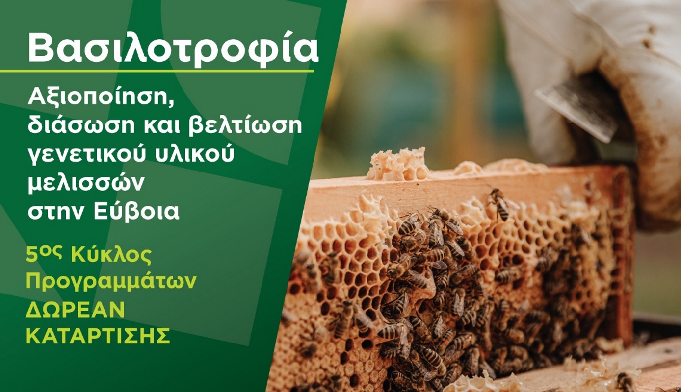 Νέα Γεωργία, Νέα Γενιά: Δωρεάν Πρόγραμμα Κατάρτισης για τις μέλισσες της Εύβοιας – Νέες ημερομηνίες