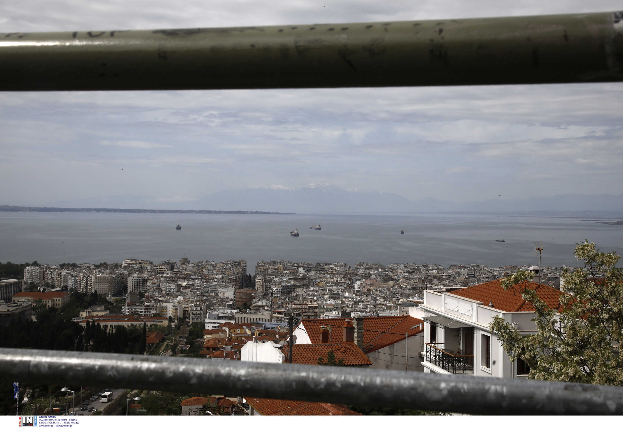 Θεσσαλονίκη: Ασημένιος φασιανός από την Ασία βρέθηκε σε πυλωτή πολυκατοικίας στην Καλαμαριά