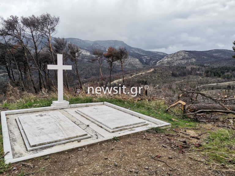 Εδώ θα ταφεί ο τέως βασιλιάς Κωνσταντίνος, δίπλα στους προγόνους του - Εικόνες από το Τατόι