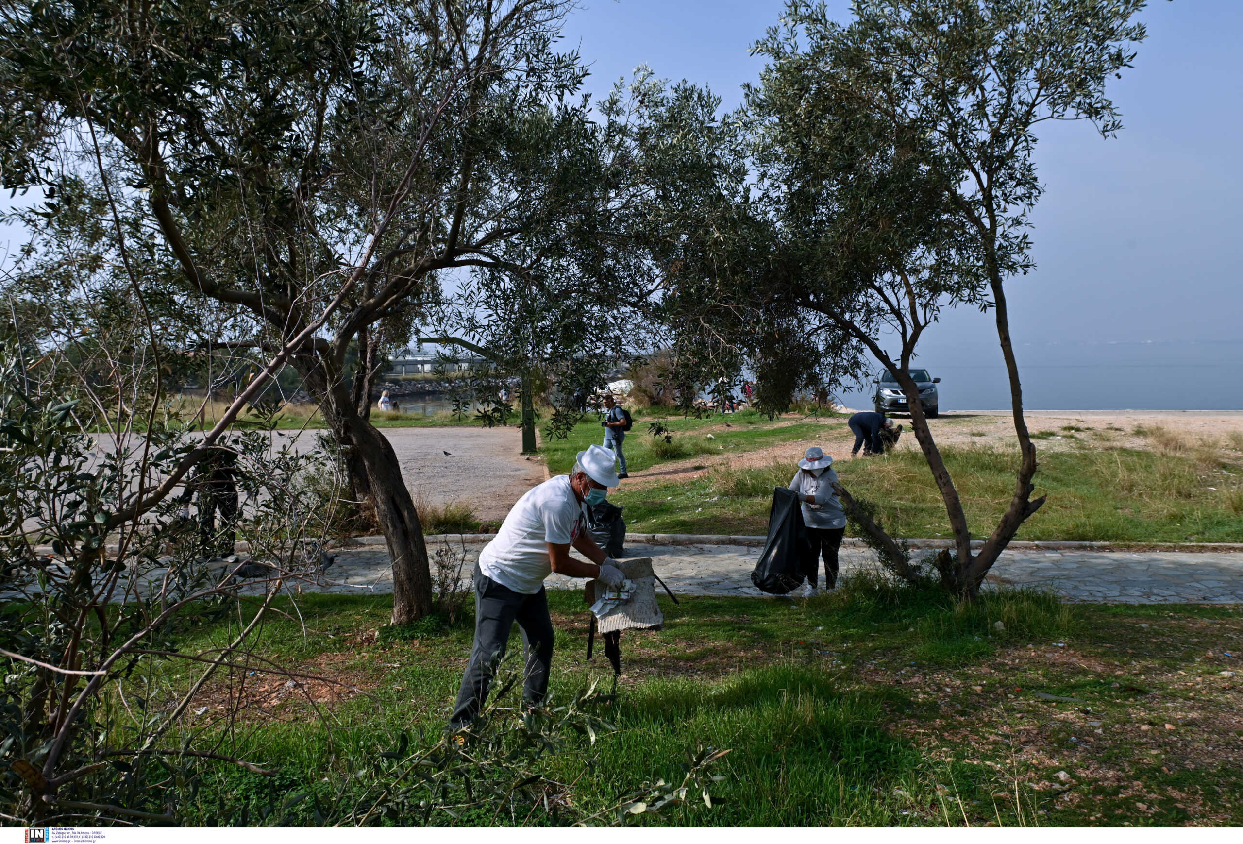 Πρόγραμμα αντικατάστασης των δέντρων στον δήμο Χαϊδαρίου