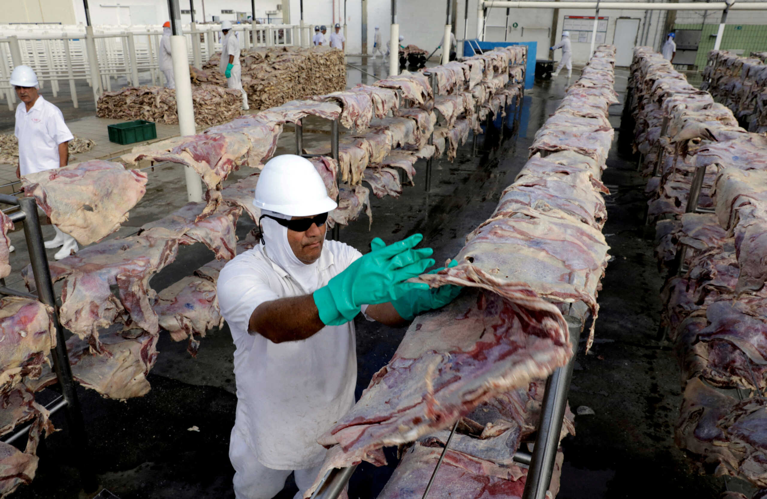 FILE PHOTO: A worker spreads salted meat which will be dried and then packed at a plant of JBS S.A, the world's largest beef producer, in Santana de Parnaiba, Brazil December 19, 2017. REUTERS