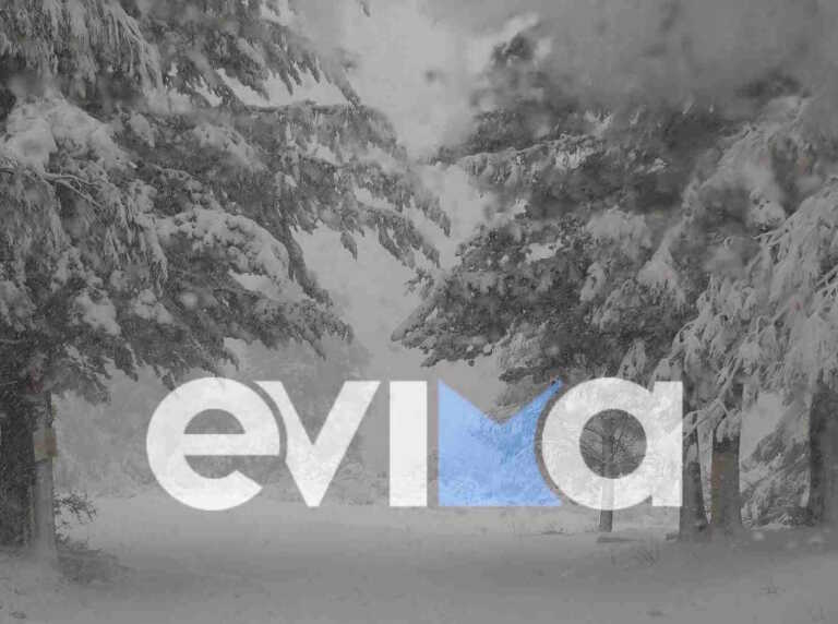 Διακοπές ρεύματος με χιόνια πάνω από 1 μέτρο στην Εύβοια - Σε απόγνωση εκατοντάδες κάτοικοι