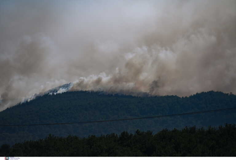 Αχαΐα: Οριοθετήθηκε η μεγάλη φωτιά στο Κυπαρίσσι Ερύμανθου – 68 πυροσβέστες και «Καναντέρ» περιόρισαν το μέτωπο